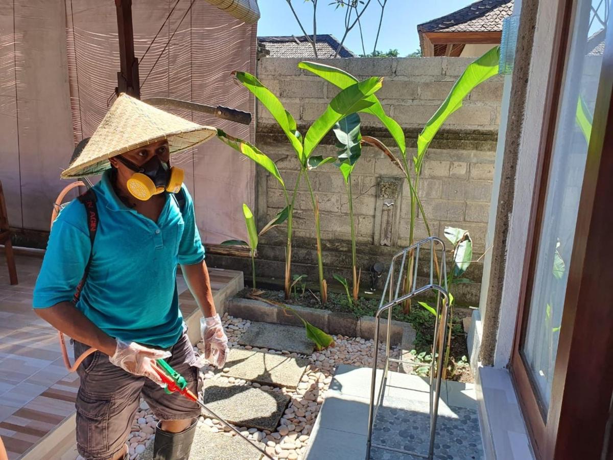 Villa Victoria Bali Canggu Eksteriør bilde